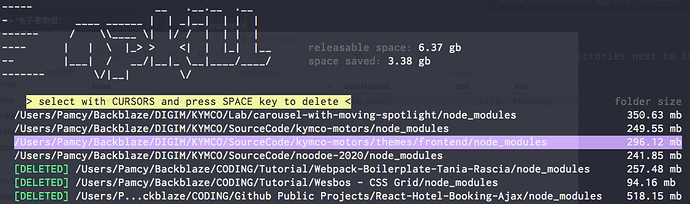 npkill node_module folder